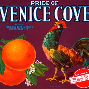 Crate Label Pride Of Venice Cove Orange Rooster California Vintage Poster Repro