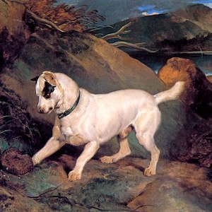 Jocko With A Hedgehog Dog Animal Painting By Sir Edwin Landseer Repro