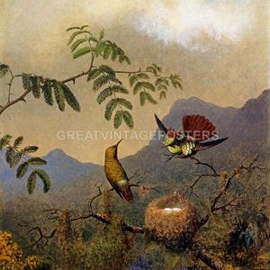 Frilled Coquette Hummingbird Bird Butterfly Flower By Martin Johnson Heade Repro
