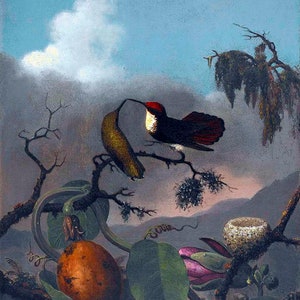 May include: A painting of two hummingbirds perched on a branch with a passion fruit and a bird's nest. The background is a hazy blue sky with a white cloud.