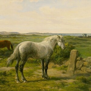 Caballos cerca de la playa Pintura de animales de caballo blanco de Rosa Bonheur Repro