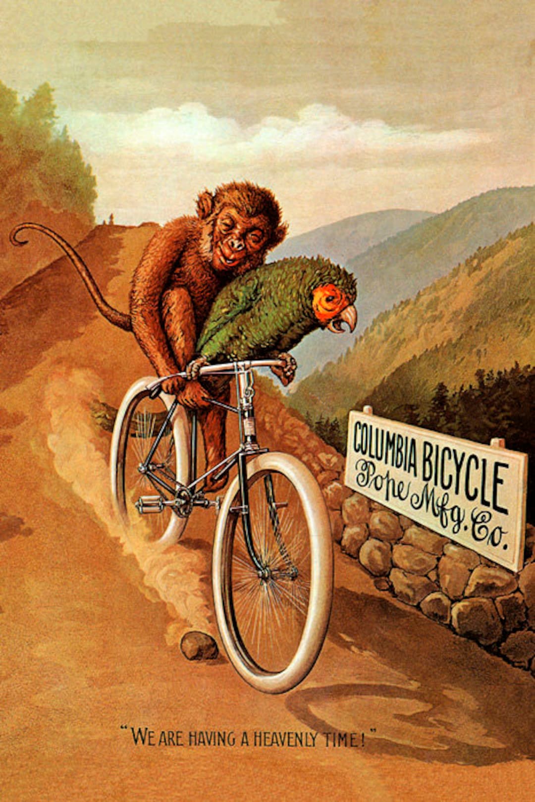 Bicicleta de montaña columbia new arrivals