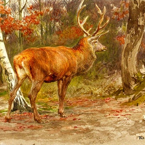 Big Stag Deer In The Woods Wildlife Animal Painting By Rosa Bonheur Repro