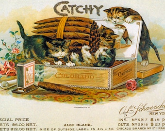 May include: Vintage advertisement for Colorado cigars featuring a box of cigars with three kittens playing on top. The text "Catchy" is written in large letters at the top of the image. The text "Colorado" is written on the box of cigars. The text "OL Schwencke, New York" is written at the bottom of the image. The text "INS. No. 5917 $1½ per 100, OUTS. No. 5918 $0½ per 100, CHICAGO BRANCH No. 171 RANDOLPH ST." is written at the bottom of the image.