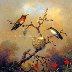 Ruby Throated Forest Hummingbirds Bird 1864 Painting Martin Johnson Heade Repro