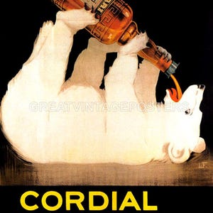 Cordial Campari White Bear Drinking Alcohol Italia Italy Vintage Poster Repro