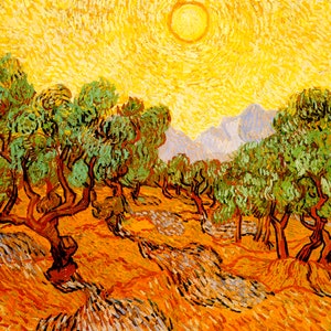 Olive Trees Plantation Sun 1889 Impressionist Painting By Vincent Van Gogh Repro