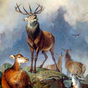 Scene In Braemar Highland Deer Monarch Glen Painting By Edwin H Landseer Repro