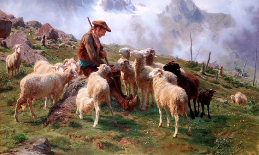 Shepherd Giving Salt to His Sheep Mountains Scene Painting by Rosa