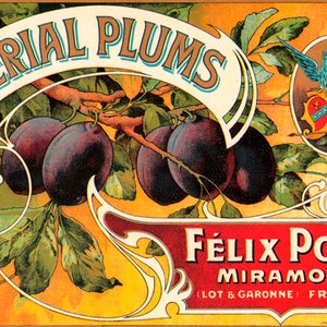 Crate Label Imperial Plums France Felix Potin Vintage Poster Repro