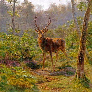 Pintura de animales salvajes de ciervo monarca en el bosque de Rosa Bonheur Repro