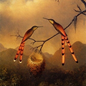 Two Hummingbirds With Their Young Bird 1864 Painting Martin Johnson Heade Repro