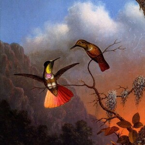 Hooded Visorbearer Hummingbirds Bird 1864 Painting By Martin Johnson Heade Repro
