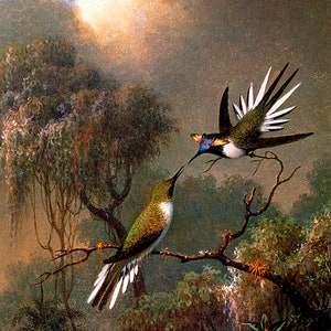 Two Sun Gems Hummingbirds On A Branch 1864 Painting Martin Johnson Heade Repro