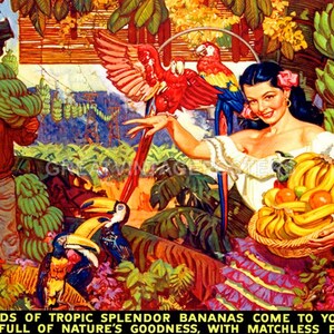 From Lands Of Tropic Splendor Bananas Fruits Parrot Toucan Vintage Poster Repro