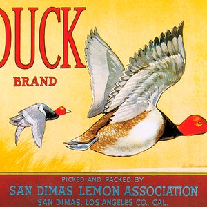 Reproducción de póster vintage de la Asociación de limones de San Dimas, marca Duck, etiqueta publicitaria para cajas