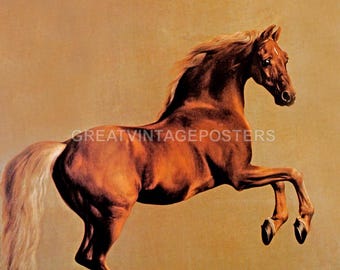 Horse Portrait Whistlejacket Racing Stallion Painting By George Stubbs Repro