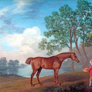 Pumpkin With A Stable Lad Boy Feeding Horse By George Stubbs Paper Repro Full