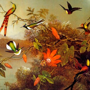 Seven Hummingbirds Flowers North America Painting By Martin Johnson Heade Repro
