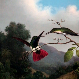 May include: A painting of two hummingbirds perched on a branch. The hummingbird on the left has a bright red tail and is in flight. The hummingbird on the right is perched on the branch and has a green body. The background is a blurry landscape with a blue sky.