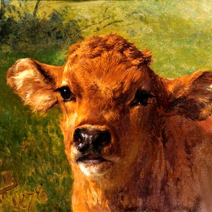 Cabeza de ternero, vaca joven, toro, animal bovino, pintura de Rosa Bonheur, reproducción