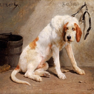 Barbaro After The Hunt Dog 1858 Painting By Marie-Rosalie (Rosa) Bonheur Repro