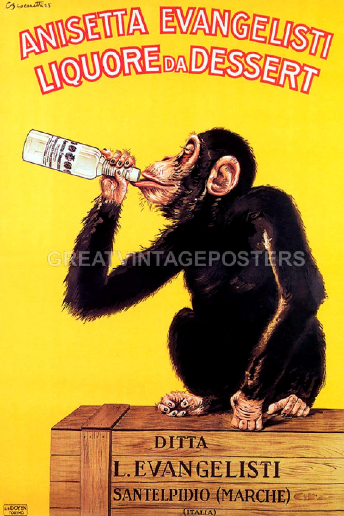 Anisetta Evangelisti Liquore Dessert Monkey Drinking Italy Vintage