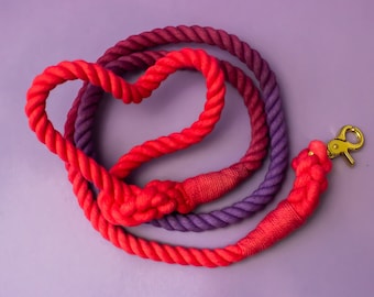 Pink/Wine/Purple Ombré Braided Rope Dog Leash