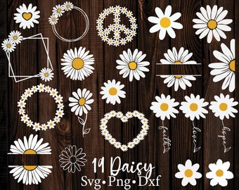 Può includere: Un set di 19 file di taglio SVG di margherite, tra cui ghirlande, cornici, simboli di pace, cuori e margherite singole. Le margherite sono bianche con centri gialli e sono posizionate su uno sfondo di legno scuro. Il testo "19 Daisy Svg. Png. Dxf" si trova nella parte inferiore dell'immagine.