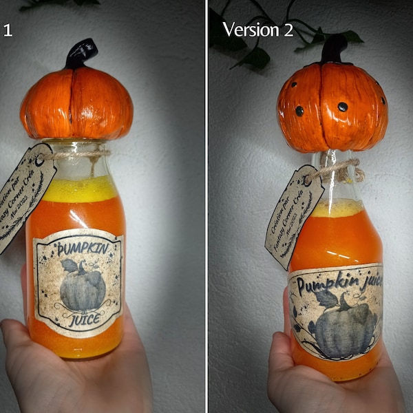 Potion Pumpkin Juice création artisanale