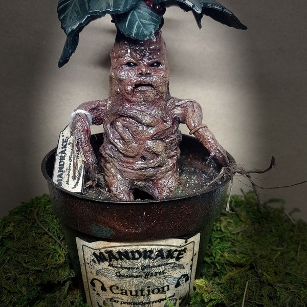 Sculpture Mandragore dans son pot inspiration Harry Potter