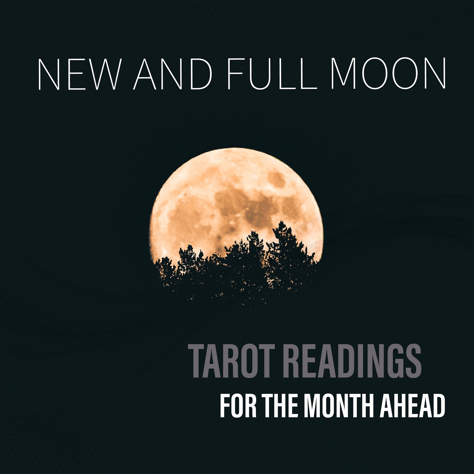 New AND Full Moon Readings for the Month Ahead Package Deal Etsy UK