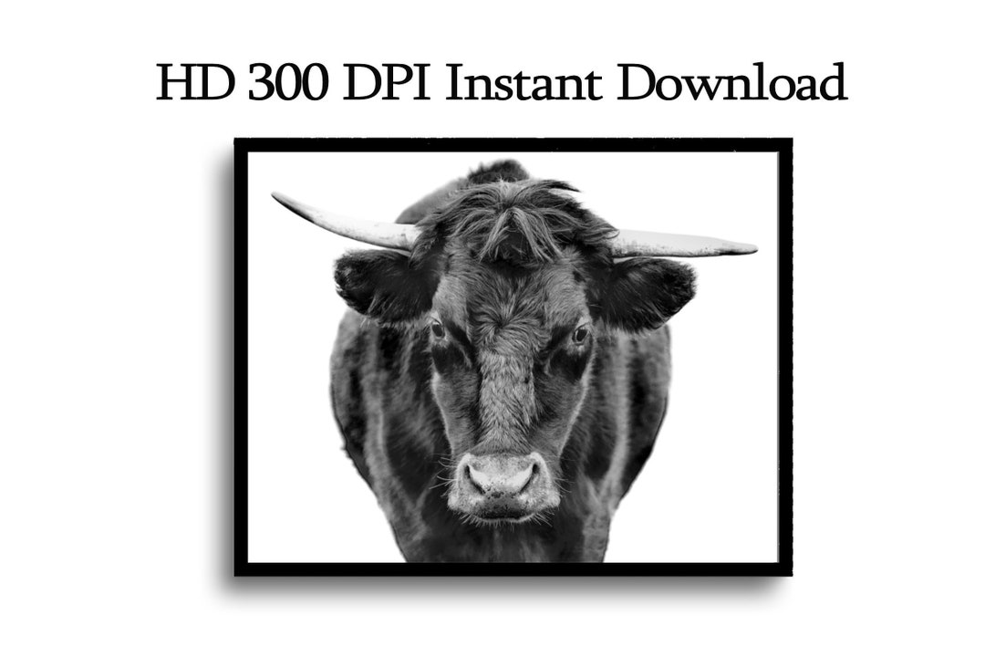 Rustic Bull Print Bull Wall Art Black & White Animal Etsy