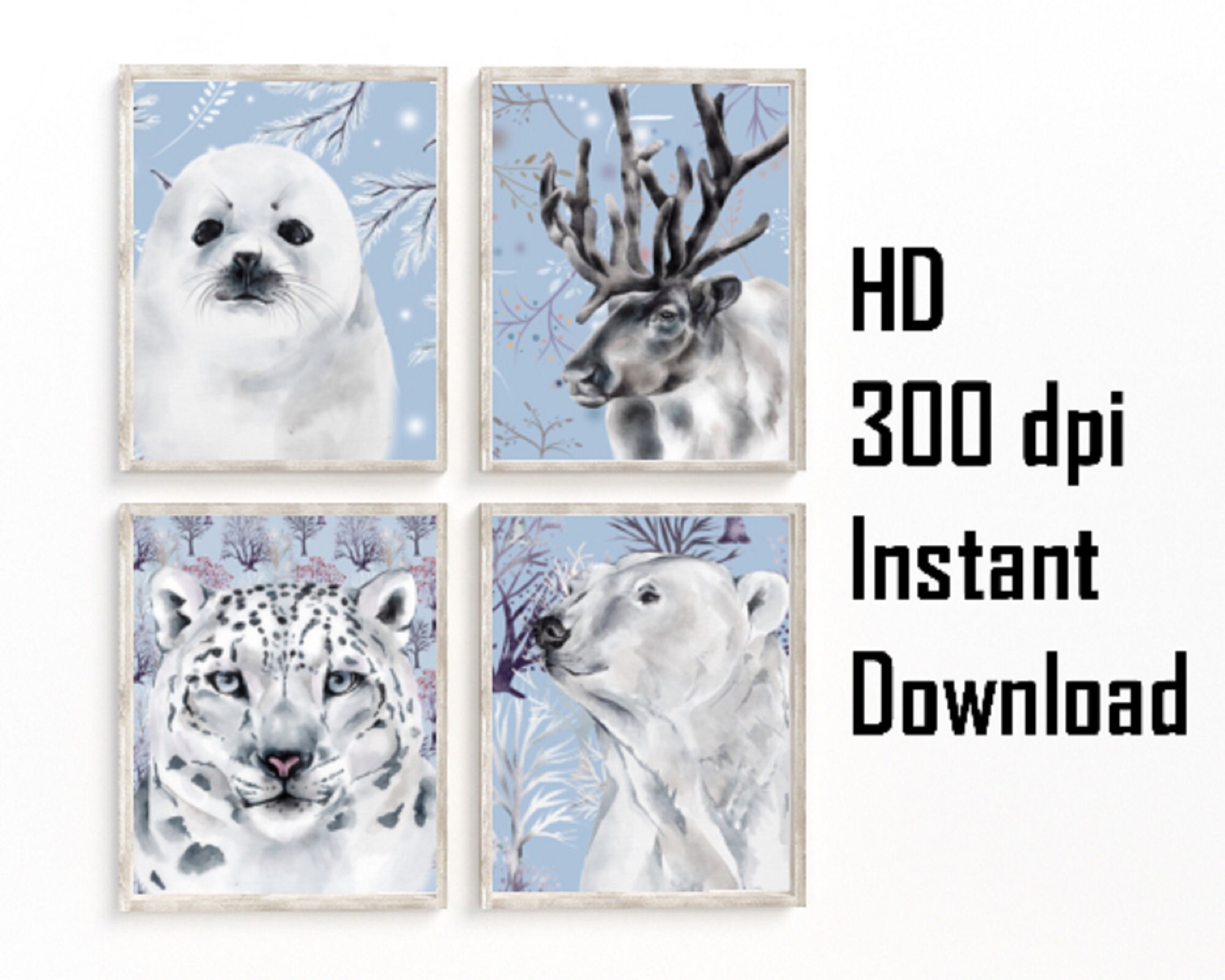 Framed Canvas Art - Snow Leopard - Blue Ice by Collin Bogle ( Animals > Wildlife > Wild Cats > Leopards art) - 26x26 in
