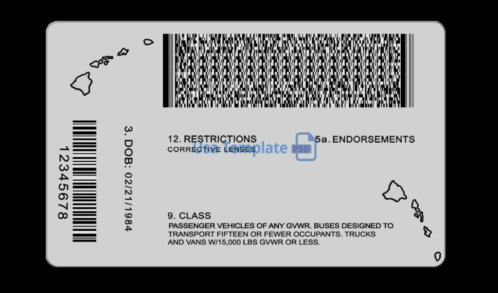  Auto & Car Acc McLovin Fun Plastic Fake ID License Model:  Car/Vehicle Accessories/Parts : Automotive