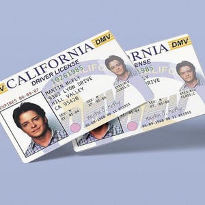 Marty McFly ID-KAART, Back to the Future, Michael J Fox, licentie, prop Mc FLY