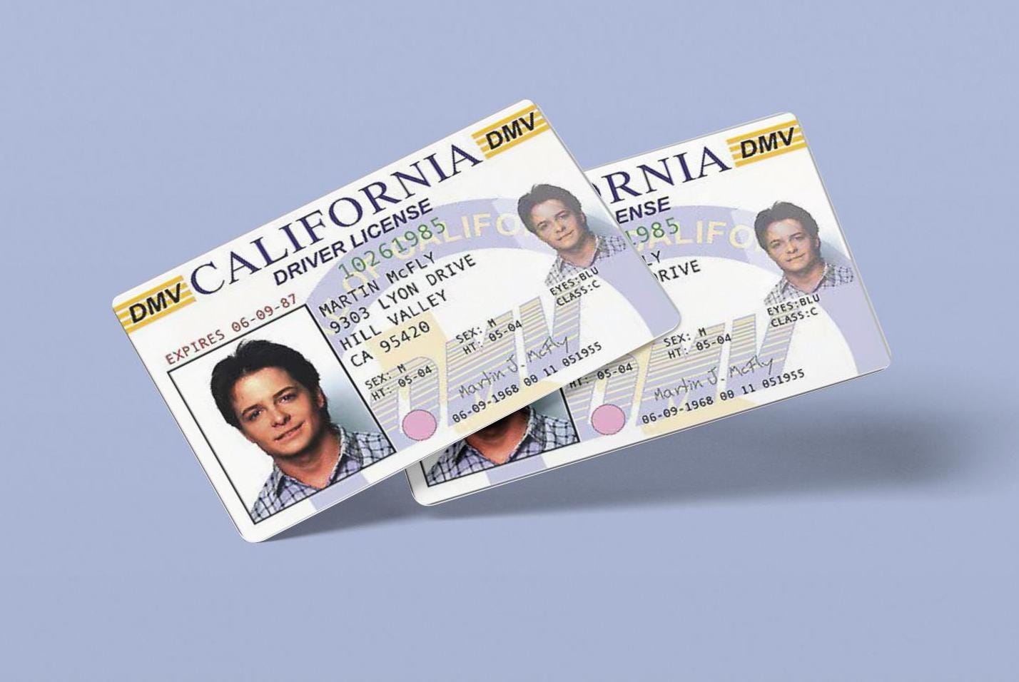 Marty Mcfly ID CARD, Back to the Future, Michael J Fox, License