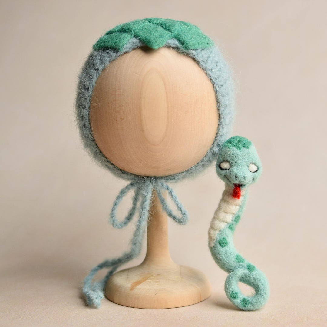 Snake Hat Pattern Newborn Snake Set, Knitted Snake Hat and Felted Toy, Baby Coming Home ...
