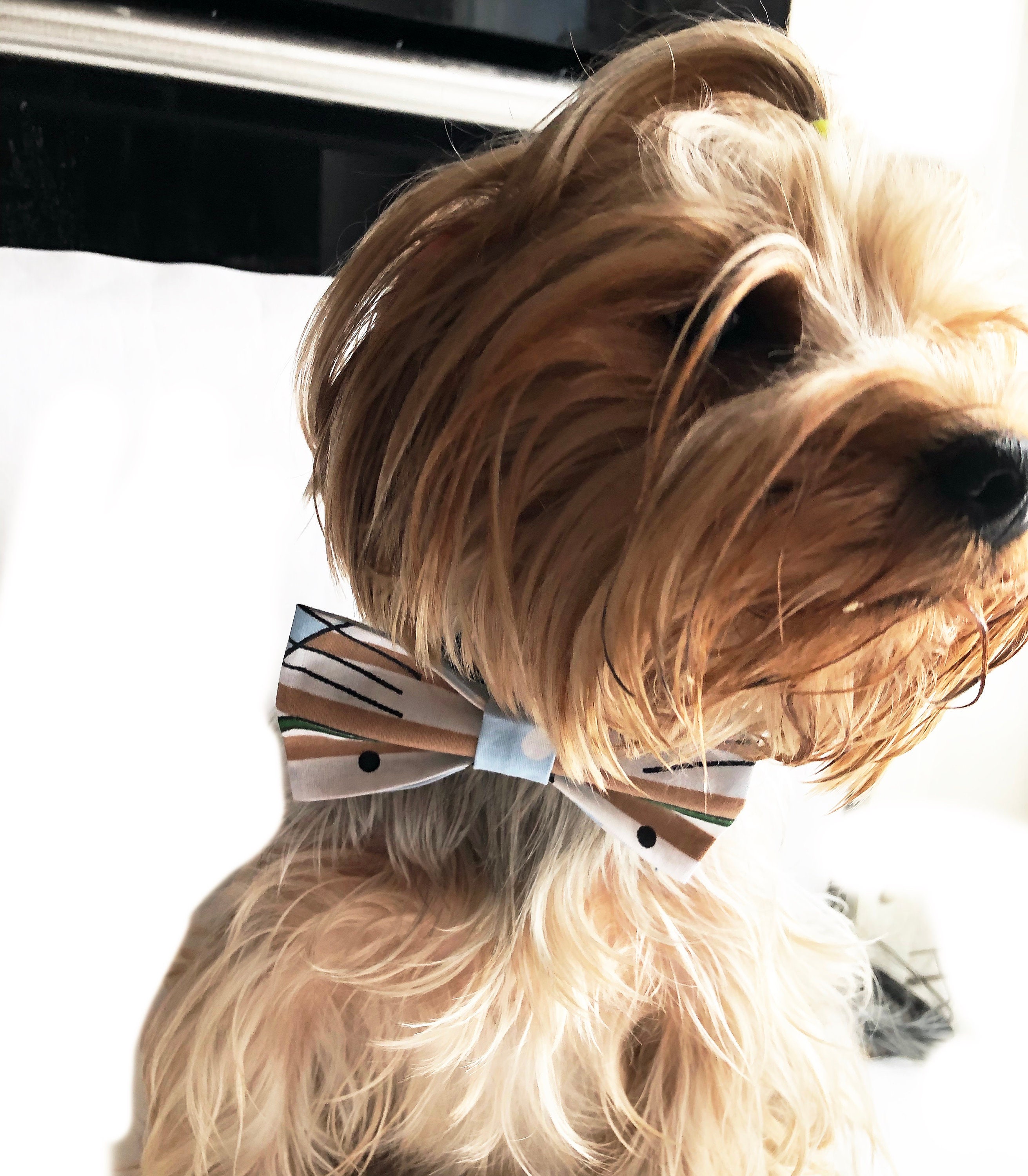 Dog Bandana Dog Bow Tie Dog Sailor Bow Tie Etsy