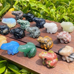May include: A collection of 15 small, carved frog figurines made from various types of polished stones. The frogs are in a variety of colors, including green, blue, red, yellow, white, black, and brown.