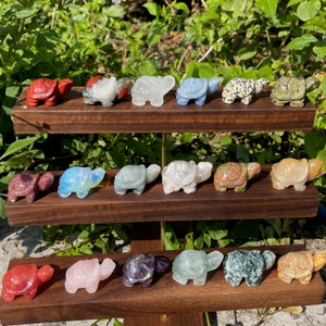 Op de afbeelding: Een display van gebeeldhouwde stenen schildpadfiguren in verschillende kleuren, waaronder rood, wit, blauw en groen. De schildpadden zijn gerangschikt op drie houten planken, die hun gedetailleerde vakmanschap en diverse materialen laten zien. De achtergrond bestaat uit weelderig groen gebladerte.