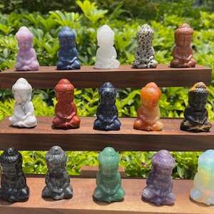 May include: A collection of small, seated Buddha figurines in various colors and materials, including pink, blue, white, and speckled stone. The figurines are displayed on two wooden shelves against a backdrop of green foliage.