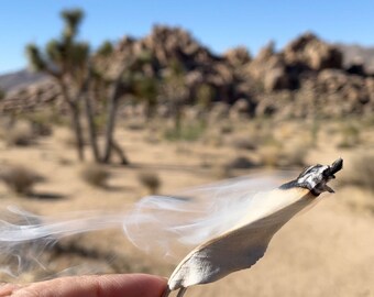 Loose Leaf White Sage for Ritual, Smudging and Purification