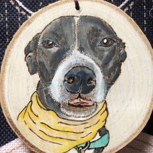 Pet Portrait Ornaments