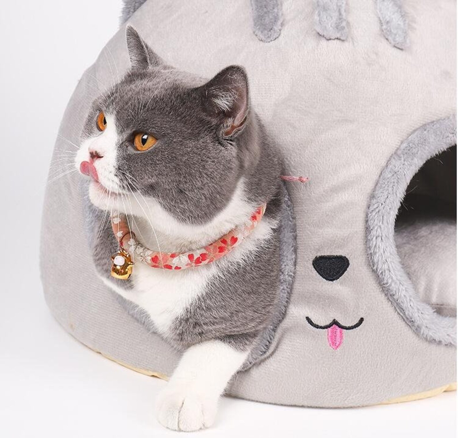 Beste Katze Bett Haus halb geschlossen Haustier Hund Katze Etsy