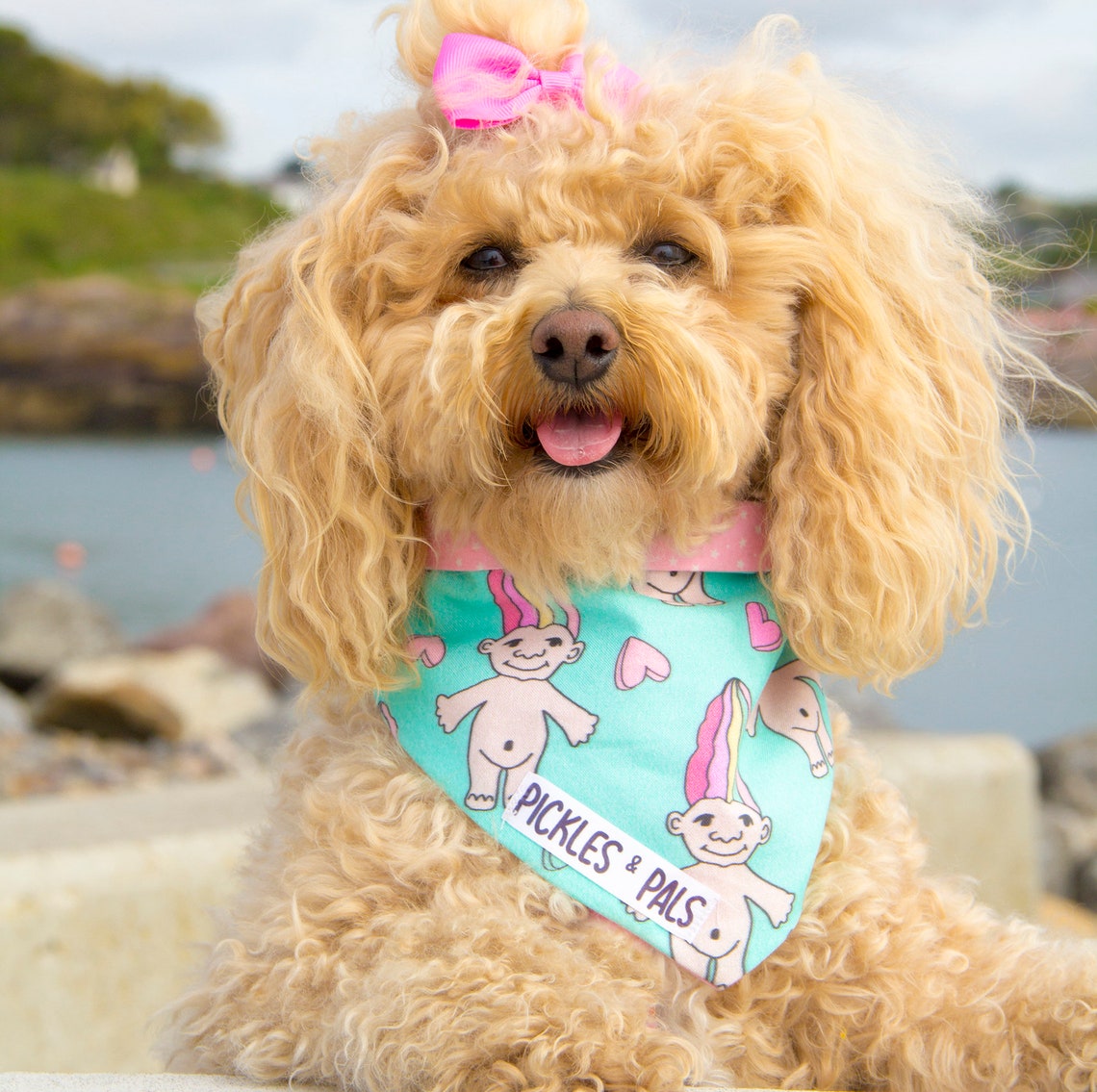 Hunde bandana Wendbar 90er Baby Trolls Puppen Etsy