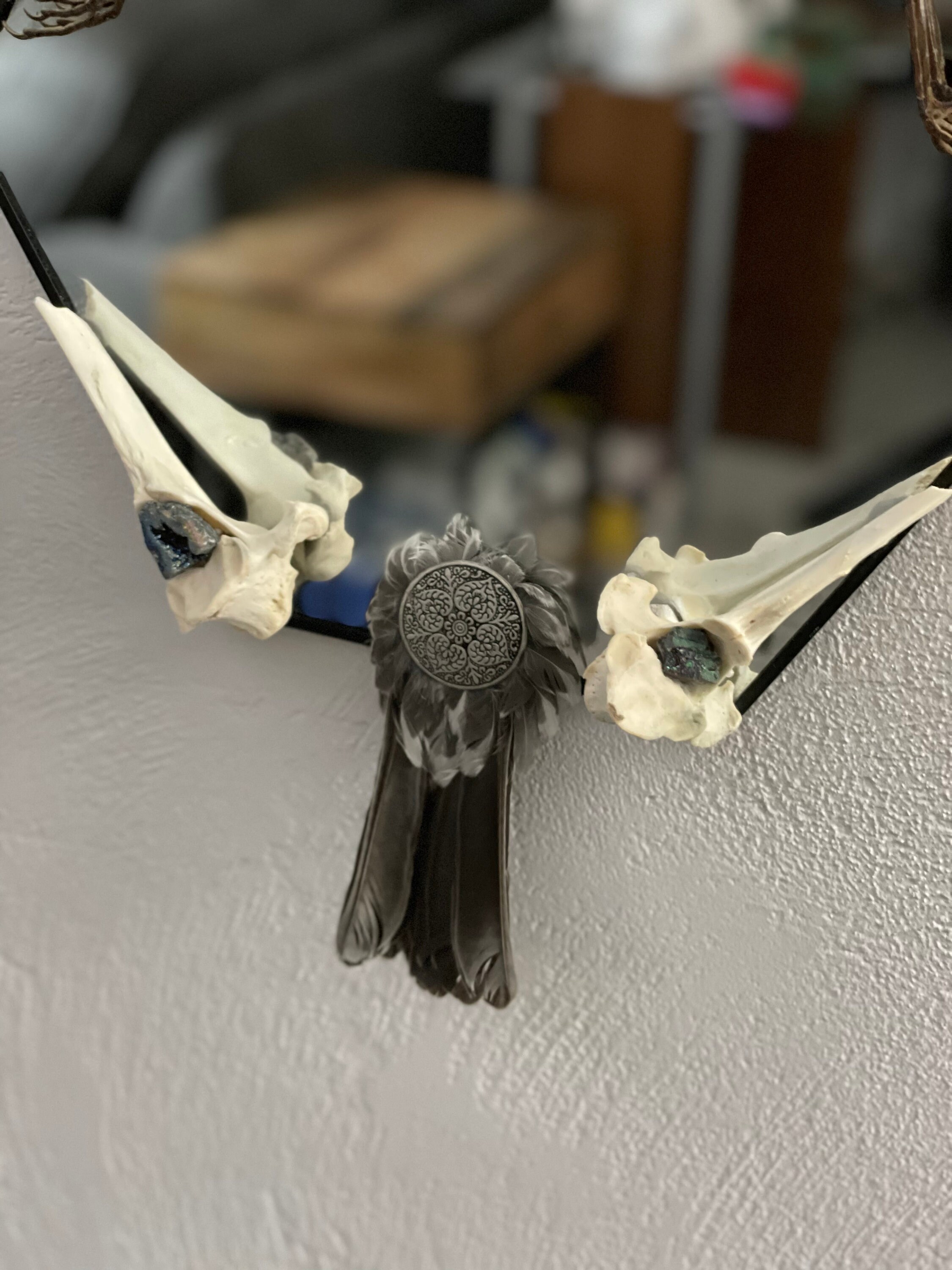 Espejo colgante de vanidad con espécimen de petirrojo húmedo | Etsy