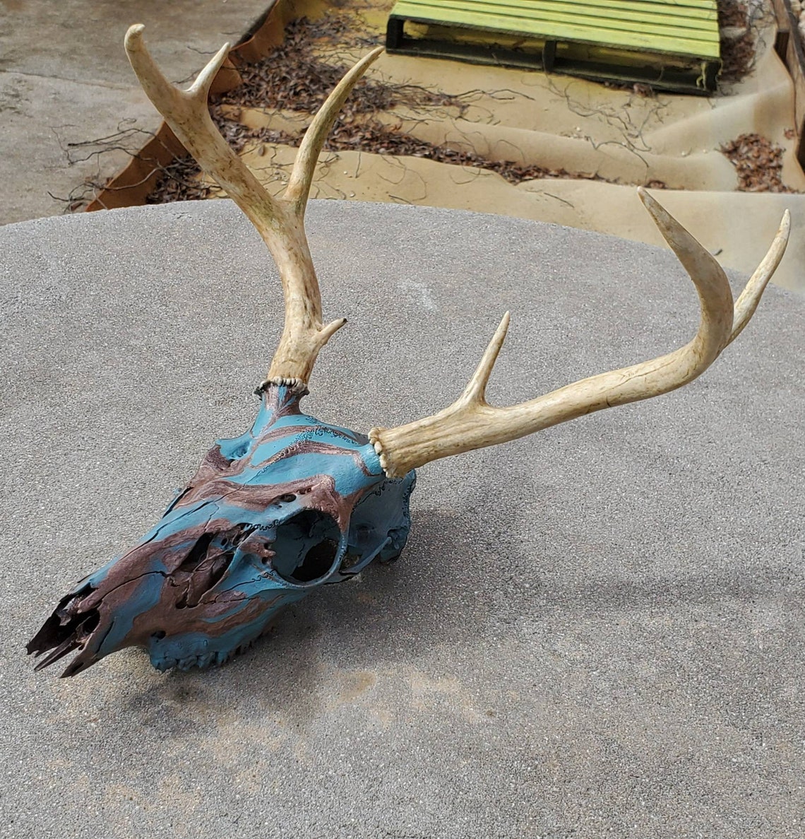 Vintage Teal and Copper Hydro Dipped Deer Skull With Nice Rack Etsy