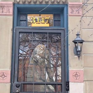 Vintage Gold Numbers for Transom Fanlight House Numbers Gold and Black House Numbers Gold Transom House Numbers Gold Transom window Numbers