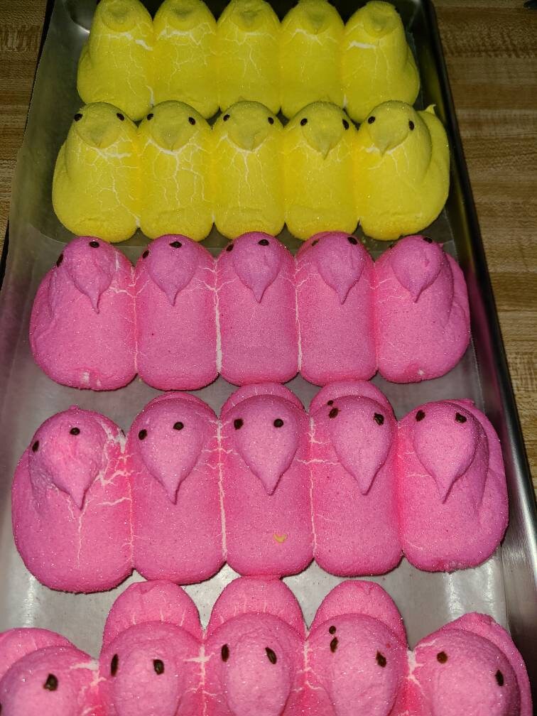 Freeze dried peeps Etsy